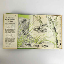 Load image into Gallery viewer, Educational 1950s Kids Book