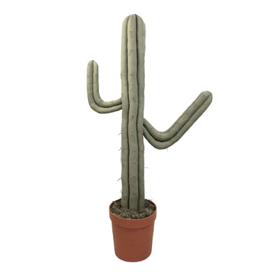 Plush Fabric Saguaro Cactus