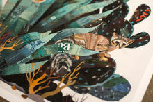Load image into Gallery viewer, Dolan Geiman Signed Print Baja Backcountry (Ring-Tailed Cat)