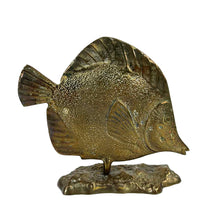 Load image into Gallery viewer, Brass Tropical Fish