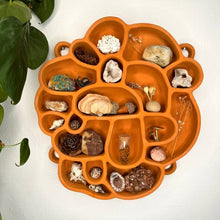 Load image into Gallery viewer, Concrete Curio Wall Shelf