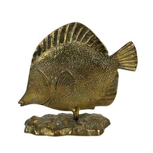 Load image into Gallery viewer, Brass Tropical Fish