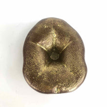 Load image into Gallery viewer, Brass Sea Biscuit Paperweight