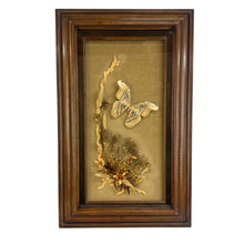 Load image into Gallery viewer, Atlas Moth Shadow Box Art