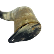 Load image into Gallery viewer, Carved Powder Horn