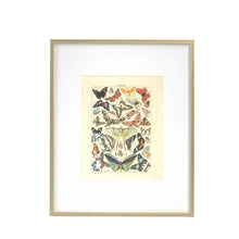 Load image into Gallery viewer, Butterfly Illustration Framed Print