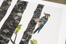 Load image into Gallery viewer, Dolan Geiman Signed Print Midnight Forest (Fox)