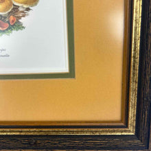 Load image into Gallery viewer, Framed Mushroom Prints