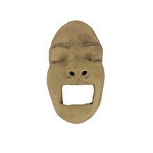 Load image into Gallery viewer, Face Cast Pottery Sculpture