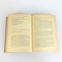 Load image into Gallery viewer, A Lamp on the Plains Book