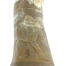 Load image into Gallery viewer, Carved Powder Horn