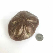 Load image into Gallery viewer, Brass Sea Biscuit Paperweight