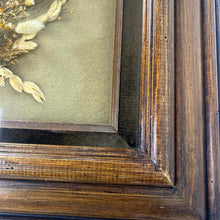Load image into Gallery viewer, Atlas Moth Shadow Box Art