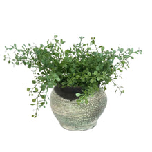 Load image into Gallery viewer, Crackle Studio Pottery Planter