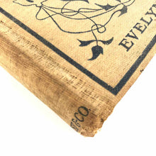 Load image into Gallery viewer, Dorothy at Skyrie Book