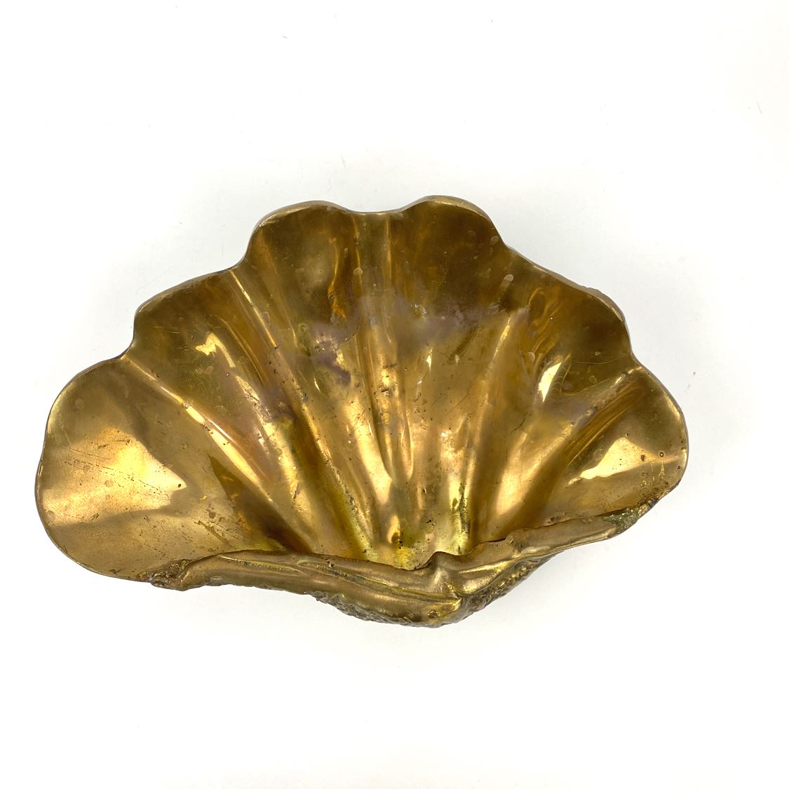Vintage Leonard Lacquered Brass 16 Seashell Bowl Huge Brass