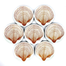 Load image into Gallery viewer, 1970s Orange Shell Plates