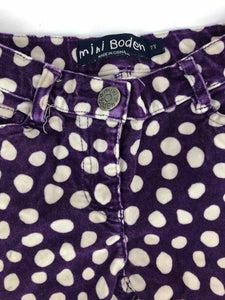 Purple Velvet Polka Dot Pants