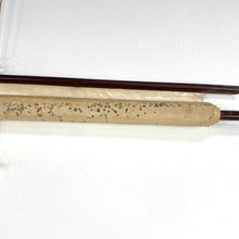 Load image into Gallery viewer, Frog Anatomy Chart