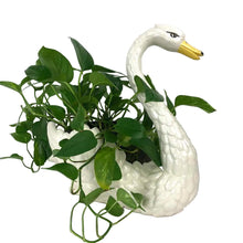 Load image into Gallery viewer, Large Ceramic Swan Planter