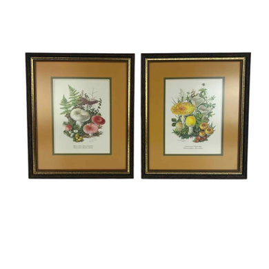 Framed Mushroom Prints