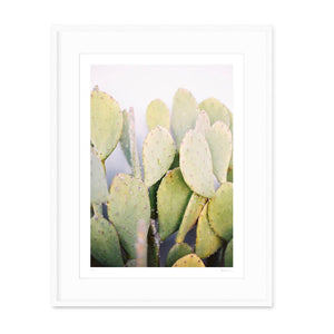 Prickly Pear Cactus Print