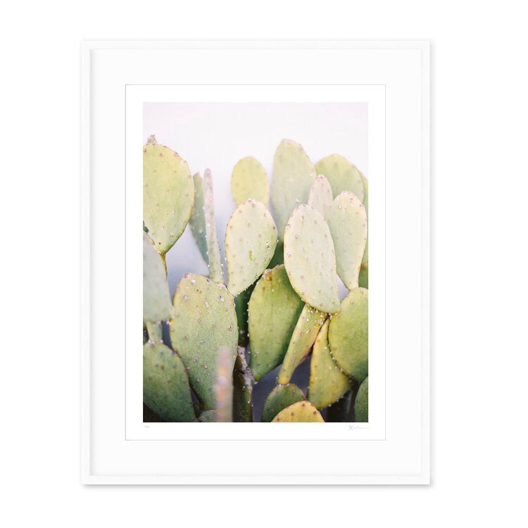 Prickly Pear Cactus Print – Found Furnishings