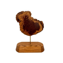 Load image into Gallery viewer, Modern Burl Wood Sculpture