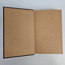 Load image into Gallery viewer, The Magic Mountain Book