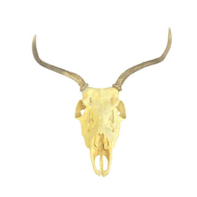 Load image into Gallery viewer, Deer Skull Mount