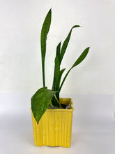 Load image into Gallery viewer, Faux Bamboo Pottery Planter