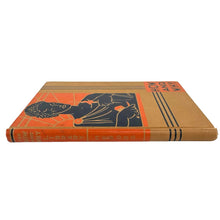 Load image into Gallery viewer, How and Why Hero Book