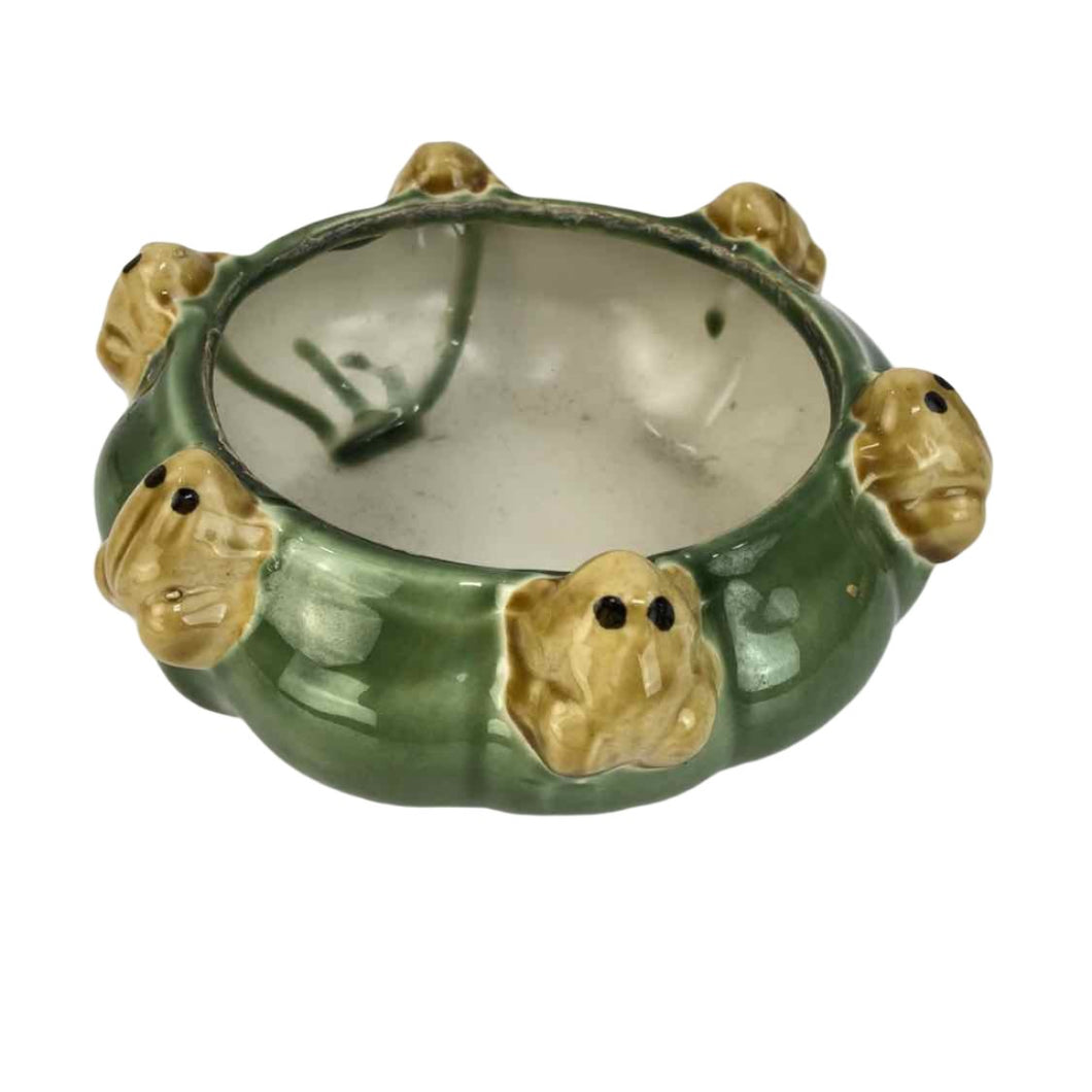 Frog Bowl Planter