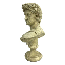 Load image into Gallery viewer, Concrete David Bust