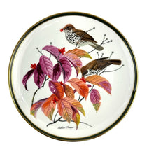 Load image into Gallery viewer, Wood Thrush Bird Plate
