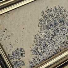 Load image into Gallery viewer, Manganese Dendrite Specimen