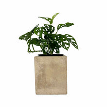 Load image into Gallery viewer, Square Concrete  Planter