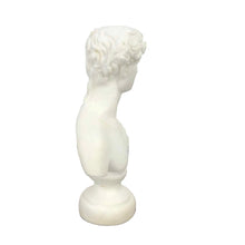 Load image into Gallery viewer, Alabaster David Bust