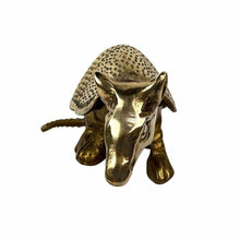 Load image into Gallery viewer, Solid Brass Armadillo
