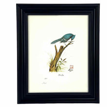 Load image into Gallery viewer, Framed Blue Jay Print