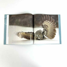 Load image into Gallery viewer, On Feathered Wings Birds Book