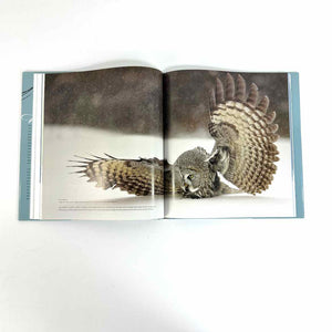 On Feathered Wings Birds Book