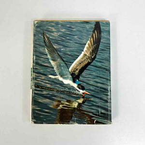 The Pleasure of Birds Book
