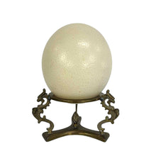 Load image into Gallery viewer, Ostrich Egg &amp; Brass Stand