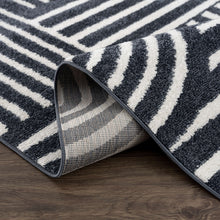 Load image into Gallery viewer, Nuevo Arches Rug