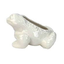 Load image into Gallery viewer, Pottery Toad Planter