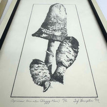 Load image into Gallery viewer, 70's Mushroom Prints