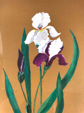 Load image into Gallery viewer, Iris Flower Framed Painting