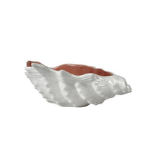 Load image into Gallery viewer, Coquille Shell Bowl