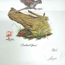 Load image into Gallery viewer, Framed Cardinal Female Print